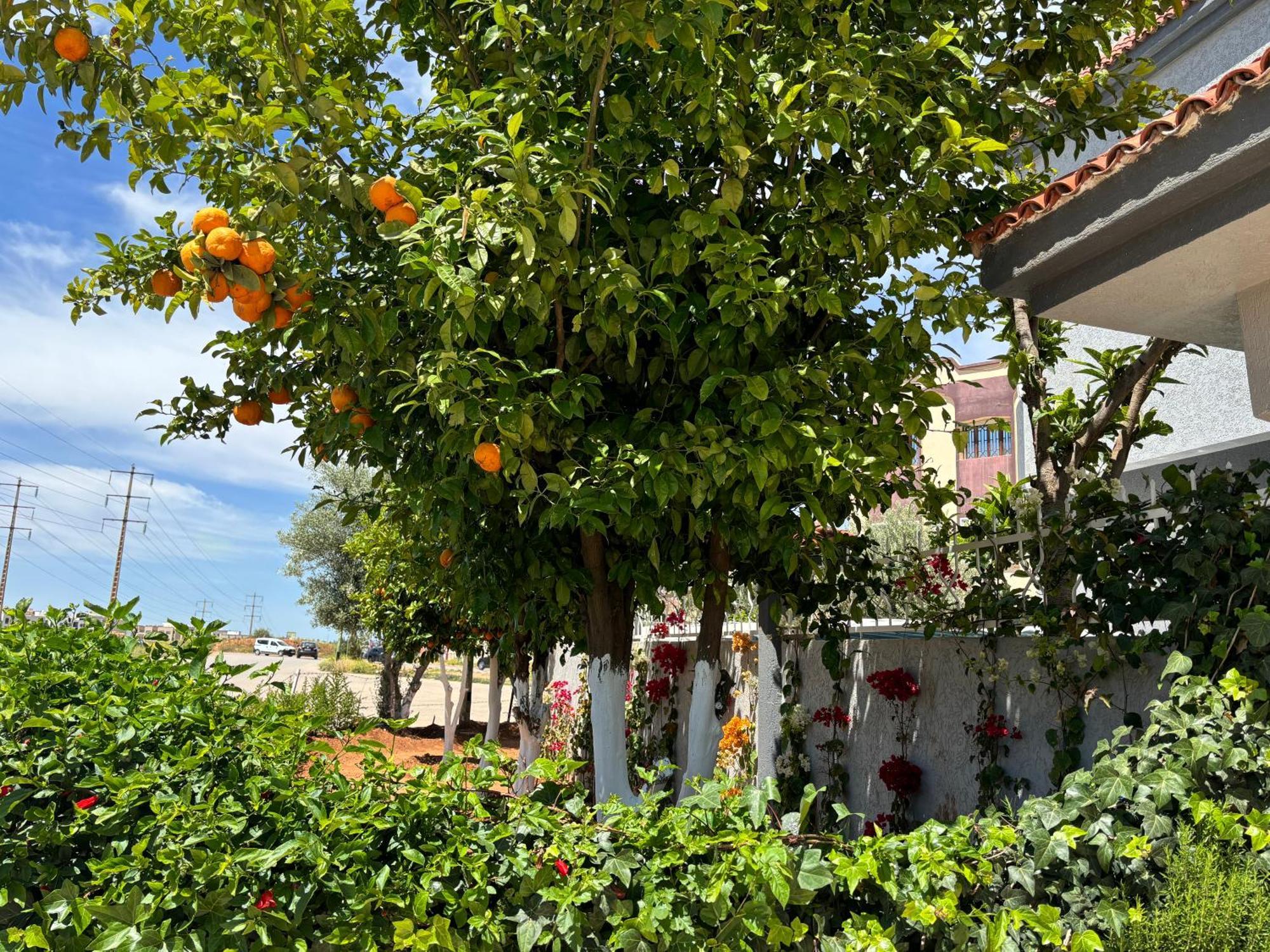 Dar El Kebira Villa Meknes Exterior photo